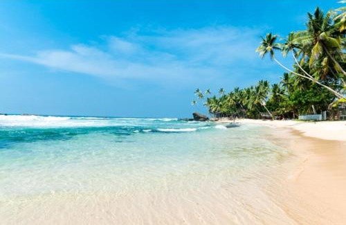 Habaraduwa Villa | Roman Residence - Unawatuna
