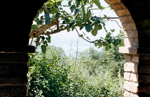 Passignano sul Trasimeno Apartamento | Romantic located vacation flat above the Trasimeno Lake
