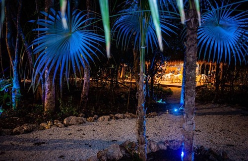 Akumal Cabina | Romantic Getaway in the Jungle with AC