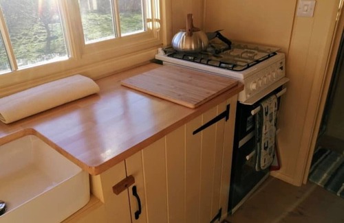 Bude Cabina | Romantic Apple Tree Shepherd's Hut with optional hot tub and shared EV charger.