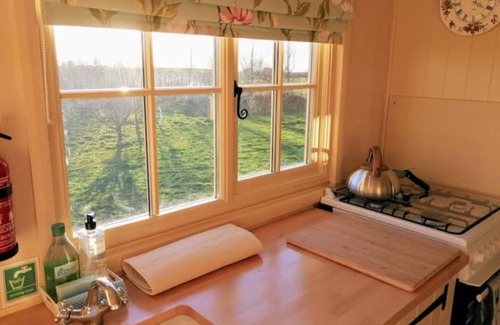 Bude Cabina | Romantic Apple Tree Shepherd's Hut with optional hot tub and shared EV charger.