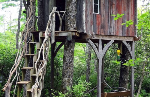 Lake Toxaway Cabina | Romantic Bungalow - Hike to Dozens of Waterfalls