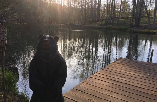 Dahlonega Cabina | Romantic cabin on horse farm just 6 miles away from historic downtown Dahlonega,