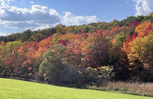Canandaigua Cabaña | Romantic Canandaigua Lake getaway.