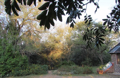 Thorny Bush Game Reserve Casa | Romantic canvas pad on river, share shower with monkeys and listen to the lions
