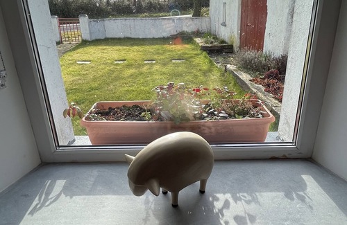 Mohill Cabaña | Romantic country cottage for two