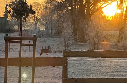Mettingen Apartamento | Romantic country house vacation apartment Relax with pony rides, carriage rides