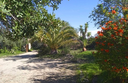 Fonte do Bispo Casa | Casa de campo romántico modernizado, amplio jardín, calma absoluta, aire claro