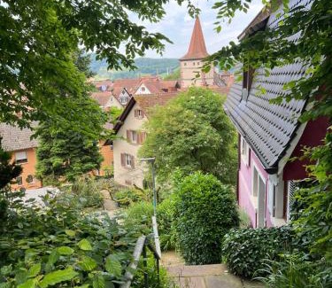 Gengenbach Apartamento | Romantic Gem at Black Forest - Cozy Historic Apartment - 30min to EuropaPark