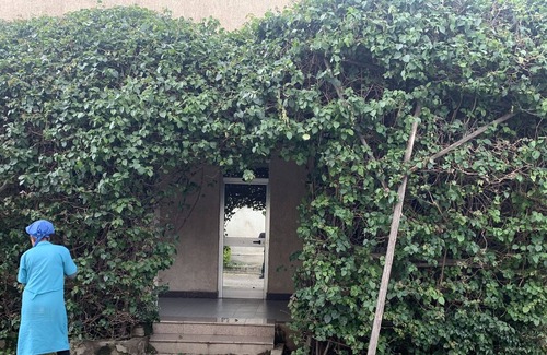 Debre Zeyit Cama Y Desayuno | Romantic Hotel Retreat Close To All Attractions