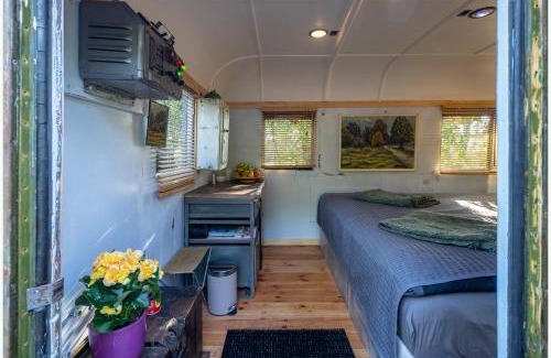 Zemgale Otro | Romantic stay in apple tree park - Vintage Gaz-63