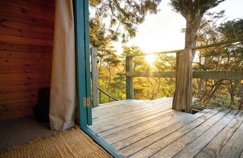 Aongatete Cabina | Romantic Tranquil Tui Treehouse