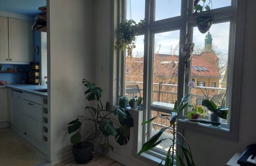 Sentrum Apartamento | Romslig Leilighet i Bergen Sentrum