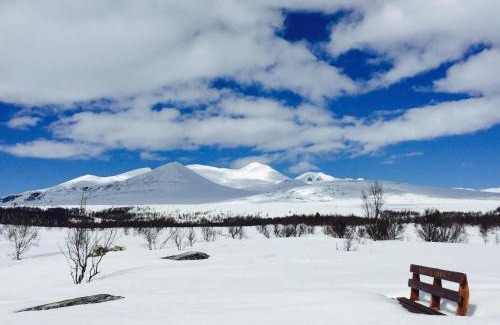 Mysuaeter Complejo | Rondane Høyfjellshotell