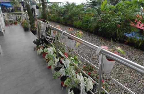 Kumai Casa | Rongo's Riverside Farm Stay