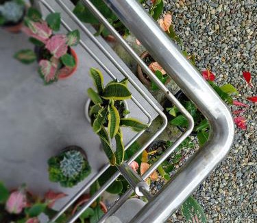 Kumai Casa | Rongo's Riverside Farm Stay