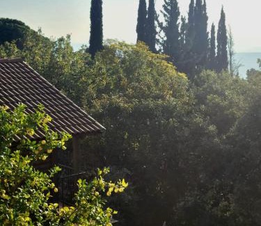 Amirim Casa | Roof Of The Galilee