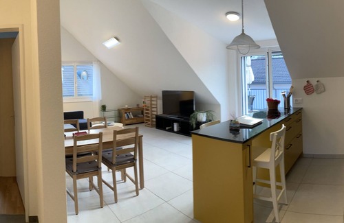 Bad Zurzach Apartamento | Roof top flat