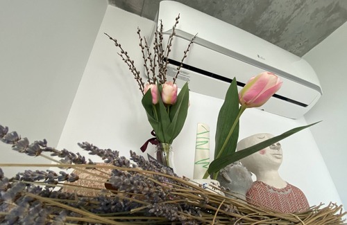 Shaughnessy Village Apartamento | Rooftop gem