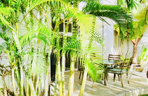 Playacar Casa | Room-deluxe Comfort Balcony Room With Sw