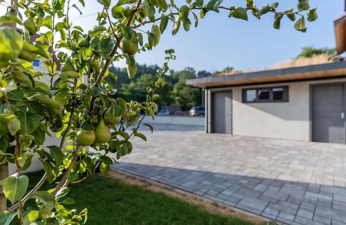 Endingen am Kaiserstuhl Apartamento | Habitación 'Doppelzimmer' con Wi-Fi