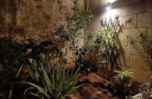 Mosta Casa | Room in Ain Karem - A Maltese Traditional Townhouse