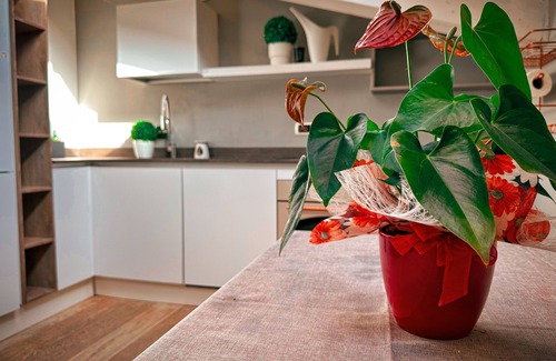 Ravenna Apartamento | Room in Apartment - The Sweet Attic of Lu in the Historic Center