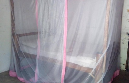 Gede Casa | Room in B&B - Mida Creek Eco Camp - Relax in Cosy Cottage