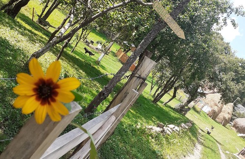 Rosia Montana Casa | Room in Guest Room - Healthy Retreat Holiday in Mountain