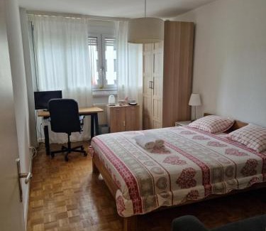 Saint-Jean and Charmilles Casa | Room in Shared Apartment Geneva