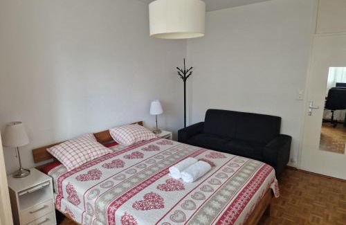 Saint-Jean and Charmilles Casa | Room in Shared Apartment Geneva