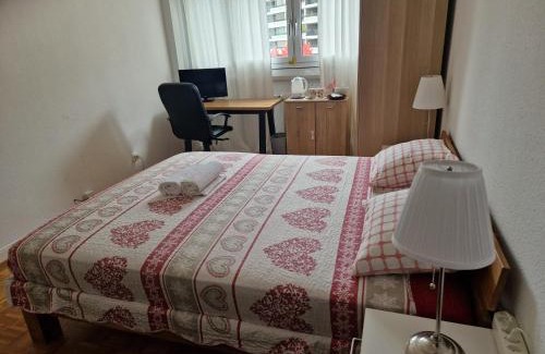 Saint-Jean and Charmilles Casa | Room in Shared Apartment Geneva