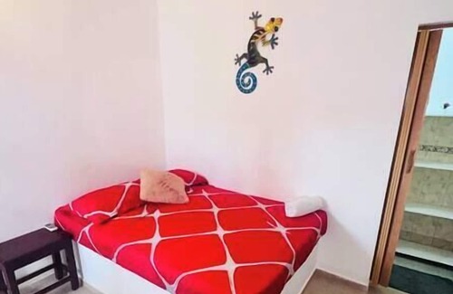 El Callejon Apartamento | room in the city center 3
