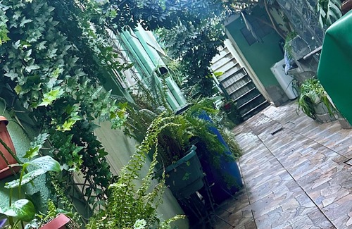 Cochabamba Casa | Habitación en el mismo centro de la ciudad. Llena de plantas para relajarse.