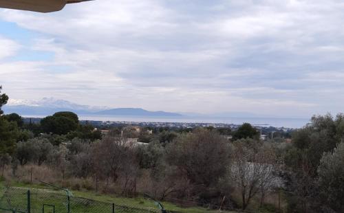 Spata-Artemida Apartamento | Room near the Airport