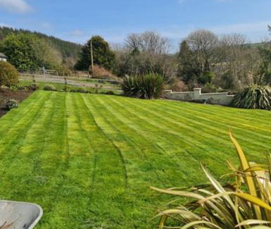 County Cork Casa | Room Stay