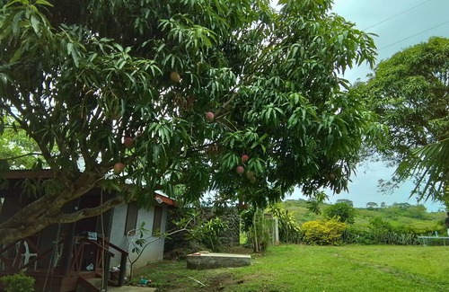 Ba Casa | Room-tropical Oasis in Tonge, Fiji - Rel