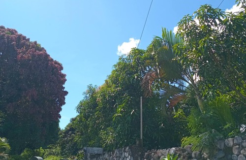 Ba Casa | Room-tropical Oasis in Tonge, Fiji - Rel