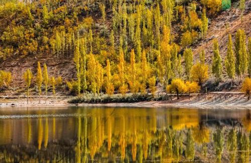 Minapin Otro | Roomy Yurts, Minapin Nagar Hunza