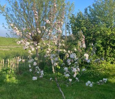 Schoorldam Complejo | Rosa's zonnige huisje bij duinen bos en strand