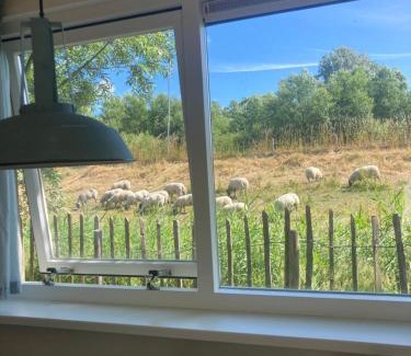 Schoorldam Complejo | Rosa's zonnige huisje bij duinen bos en strand