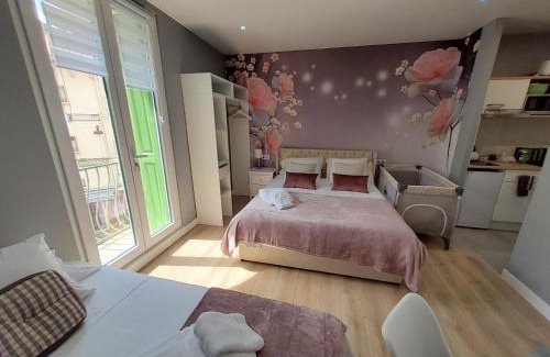 Amelie-les-Bains-Palalda Apartamento | Rosa Studio Amélie Centre