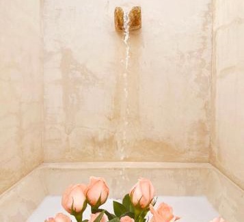 Zona Paseo Montejo Hotel | Rosas & Xocolate Boutique Hotel and Spa Merida, a Member of Design Hotels