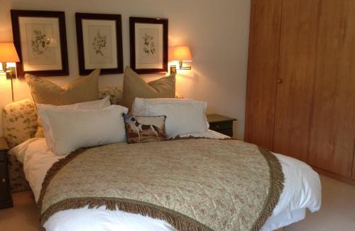 Chateau-d'Oex Apartamento | Rosat 22
