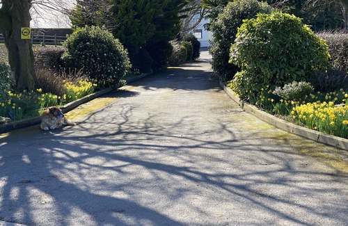 Donaghadee Cabaña | Rose Cottage Captivating 1-bed Cottage in Bangor