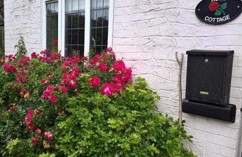 Tatworth Casa | Rose Cottage
