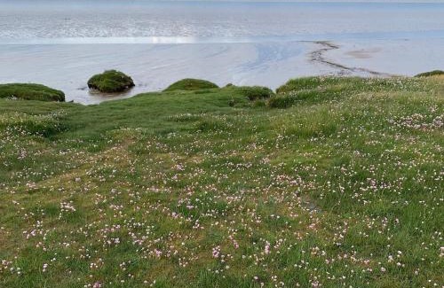 Wigton Casa | Rose cottage on the peaceful solway coast