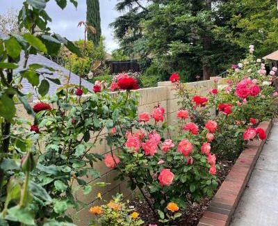Thousand Oaks Casa | Rose Garden Home, Entire 4bdr 2bth House with Offices, Thousand Oaks