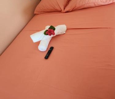Vieux Fort Quarter Casa | Rose Hideaway
