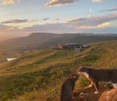 Mpofana Casa | Rose Mountain Cottage